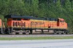 BNSF 7289 runs fourth